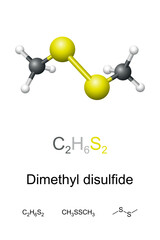 Dimethyl disulfide, DMDS, chemical formula and molecule model. Methyldisulfide, organosulfur compound with unpleasant, garlic-like odor. Widespread natural odoriferous compound, used as food additive.