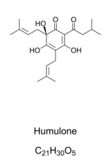 Humulone, chemical formula and structure. Also lupulic acid or bitter acid, a vinylogous type of organic acid, and bitter-tasting chemical compound, found in the resin of mature hops, Humulus lupulus.