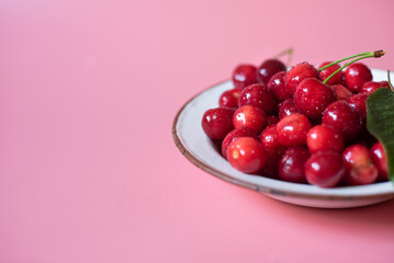 freshly picked cherries in metal plate on pink background