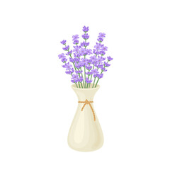 Bouquet of lavender flowers in white vase. Vector floral cartoon flat illustration.