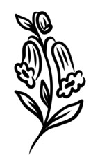 VECTOR LINEAR DRAWING OF A FLOWER ON A WHITE BACKGROUND