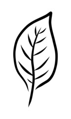 ISOLATED ON A WHITE BACKGROUND CONTOUR DRAWING OF A PLANT LEAF
