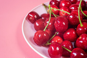 freshly picked cherries in plate on pink background