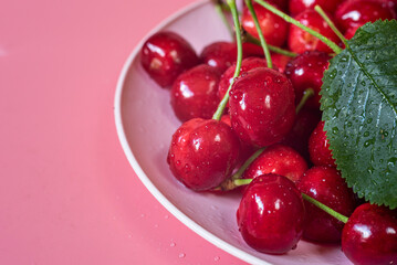 freshly picked cherries in plate on pink background