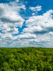 Vast green forest with white fluffy clouds and blue sky