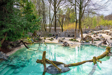 Animals in the German Zoo in Augsburg