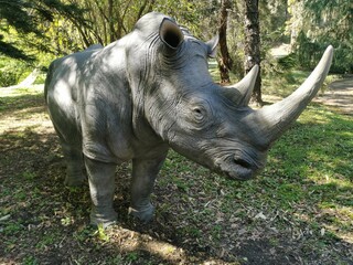 Obraz premium Orto botanico di Roma - Lazio Italia - Dinosauri piante e fiori - animali e spettacolo della natura