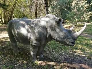Naklejka premium Orto botanico di Roma - Lazio Italia - Dinosauri piante e fiori - animali e spettacolo della natura