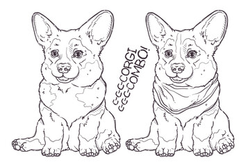 Portrait of the funny Corgi dogs with and without bandana. Line art of the dog couple. Cute dog puppies for posters, postcards, t-shirt prints. Vector hand drawn style illustration.