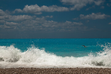 Swimming in a blue white sea