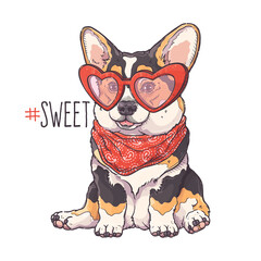Portrait of the funny Corgi dog with red hearts glasses and bandana. Hashtag Sweet - lettering quote. Cute dog puppy for posters, postcards, t-shirt prints. Vector hand drawn style illustration.