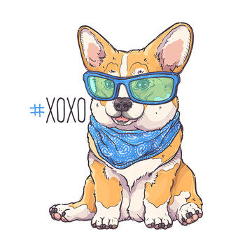 Portrait of the funny Corgi dog with blue glasses and bandana. Hashtag xoxo - lettering quote. Cute dog puppy for posters, postcards, t-shirt prints. Vector hand drawn style illustration.