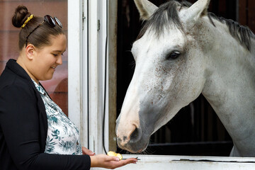 Female horse owner standing at the horse stable feeding with apple a silver color horse in the stall. The horse is looking out from the window of the stall. Horse stable view. Love for horses