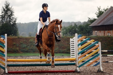 Active woman girl jockey training riding horse jumping over fence. Equestrian sport competition and...