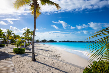 The beach of Cape Santa Maria at the north of Long Island, Bahamas, with turquoise sea and fine, white sand and coconut palm trees