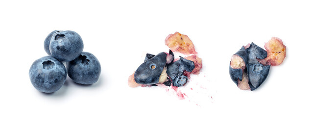 Blueberries, Huckleberry Isolated