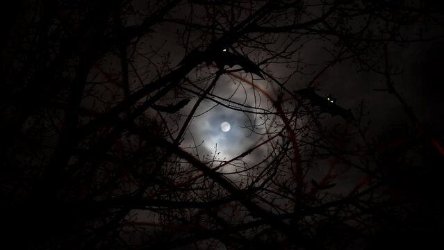 Black bats fly over branches trees against full moon and moving clouds at dark night. Mystery, horror and halloween concept. No people