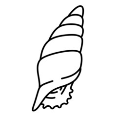 Doodle seashell Illustration on white background 