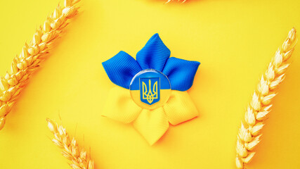 Blue yellow background. Ukrainian flower trident symbol with wheat grain ear isolated on yellow....