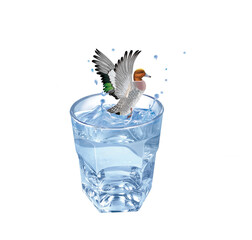 canard siffleu , poisson, évasion, eau, en verre, boire, isolé, liquide, clapoter, froid, blanc, abattre, frais, bleu, éclaboussure, verser, bouillonner, sain, clair, transparent, fraîcheur, humide, g