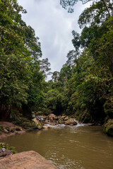 The waters of an Amazon river flow through the jungle under a cloudy sky.