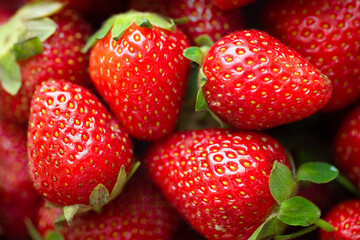 Strawberry background. Fresh ripe strawberries close up. Fruit background, organic berries.