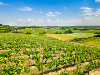 Fototapeta na wymiar Aerial drone view of vineyards in Rheinhessen close to Harxheim, Germany