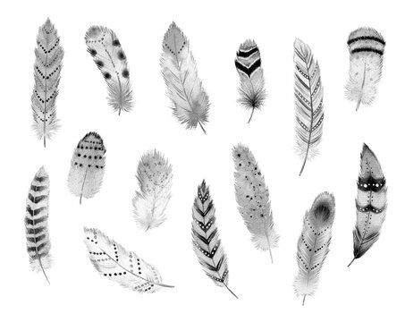 Watercolor black and white feather illustration. Hand painted clipart set isolated on white background. For posters, prints, cards, background