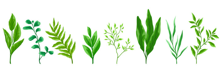 Set of green leaves. Spring or summer stylized foliage.