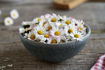 Obraz na płótnie Canvas Common daisy flowers in a bowl