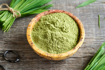 Barley grass powder in a bowl with fresh barley grass plant