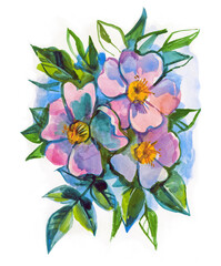 Fototapeta na wymiar Rose hip flowers. Freehand drawing with Watercolor