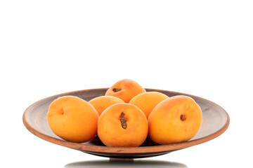 Several ripe sweet apricots with ceramic dishes, close-up, isolated on a white background.