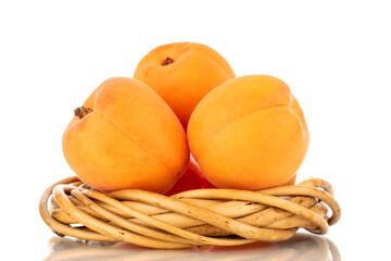 Three ripe sweet apricots with a vine wreath, close-up, isolated on a white background.