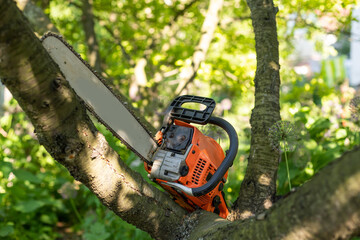 Close-up professional chainsaw blade cutting log of wood