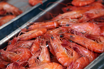 Red shrimp in a fish shop for sale. 