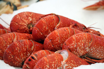 Crayfish in a fish shop for sale