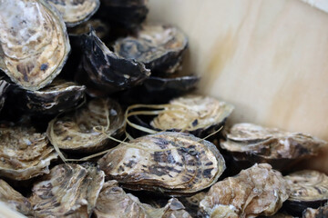 Oysters in a fish shop for sale. Partially blurred and unfocused