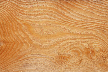 light brown wooden board background. annual rings on a tree