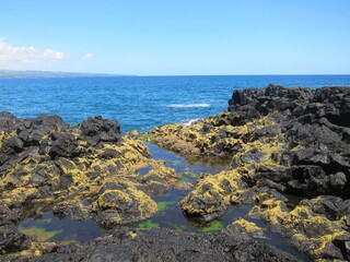 Black volcanic rocks covered with yellow moss. Deep blue sea and clear blue sky. Chalk's Beach at Hilo, Big Island of Hawaii.