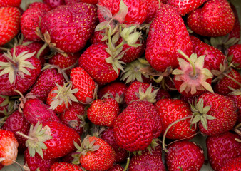 Fresh red strawberries in a box