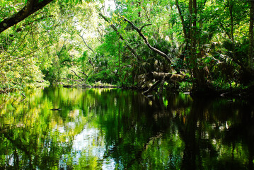 Fototapeta na wymiar Canoeing at the Rock springs river in nature Kelly park Central Florida