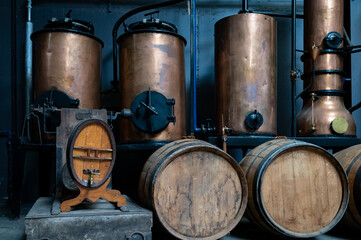 Production of sweet cassis creme liquor from ripe black currant berries, distillation and...