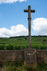 Fototapeta na wymiar Famous clos vineyards with stone walls near Nuits-Saint-Georges in Burgundy wine region, France