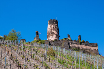 Burgruine Fürstenberg im oberen Mittelrheintal im Frühling