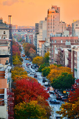 autumn in new york city