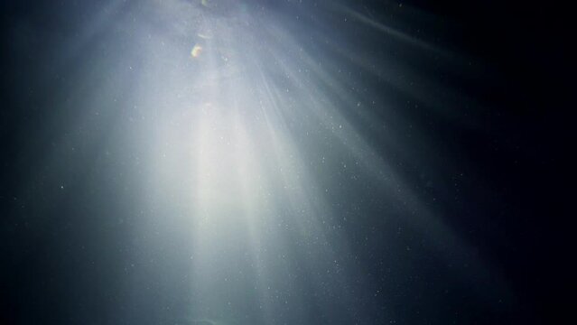 enigmatic underwater shot, view from bottom and dark depth of river or lake, mysterious sun rays