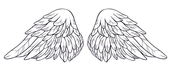 Beautiful white angel wings, vector illustration