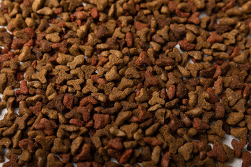 Dry food for cats on a cement background. Vitamins and nutrients for good health and energy of pets.Copy space.