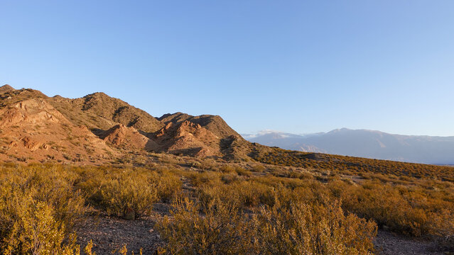 Landscape, Mountains In The Background. Desert Climate. Andes Mountain Range